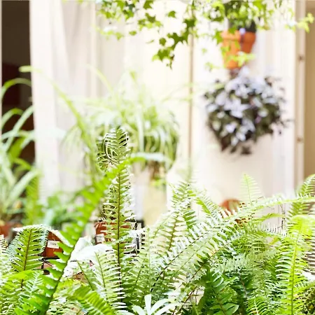 Portugal Guest house Barcelona